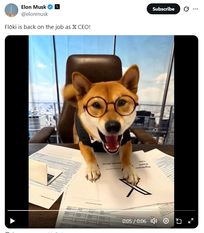 رشد 29 درصدی میم کوین فلوکی با انتشار تصویر ایلان ماسک از سگ خود !