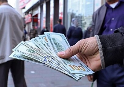 تحرکات بسیار مشکوک در بازار ارز/ ماجرا چیست؟