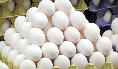 هجوم اصفهانی‌ها مقابل مغازه‌ها برای خرید تخم‌مرغ / ماجرا چیست؟