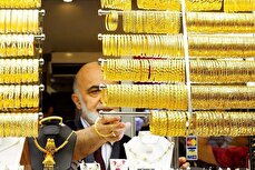 یک کارشناس اقتصادی : قیمت طلا و دلار تا این تاریخ گران‌تر می‌شود