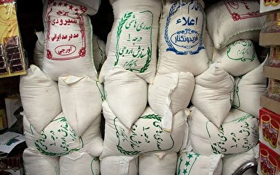 قیمت برنج هندی در بازار اعلام شد/ بالاتر از این قیمت نخرید