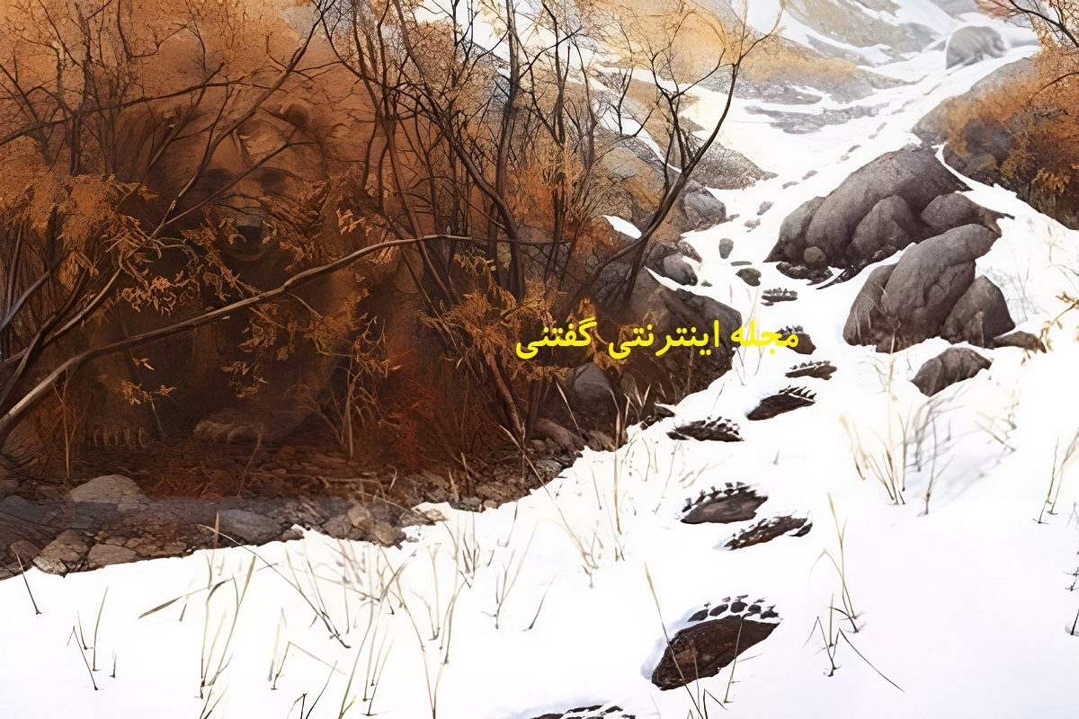 خرس‌های پنهان شده در تصویر را در کمتر از ۱۰ ثانیه پیدا کنید