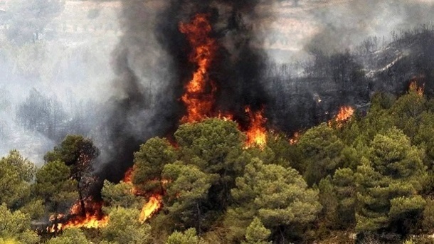 آتش به جان اقتصاد محلی