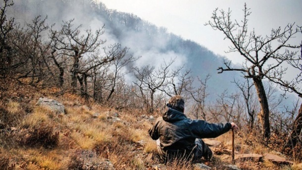بالاخره آتش «اليت» مهار شد