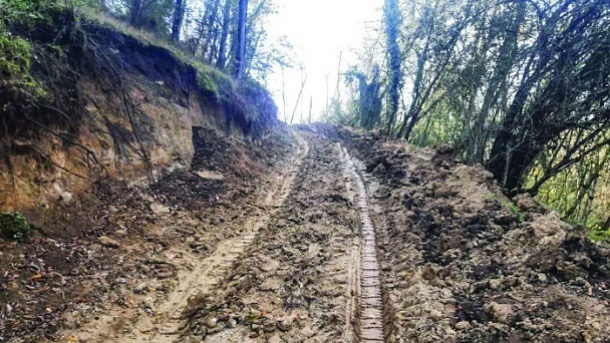 ساخت جاده در جنگل‌ هیرکانی بابل با نفوذ سیاسی