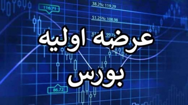 عرضه اولیه «کوچین» کشف قیمت شد