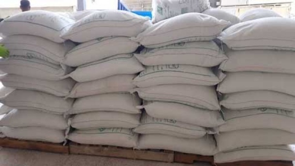 واردات شکر ، مجاز شد