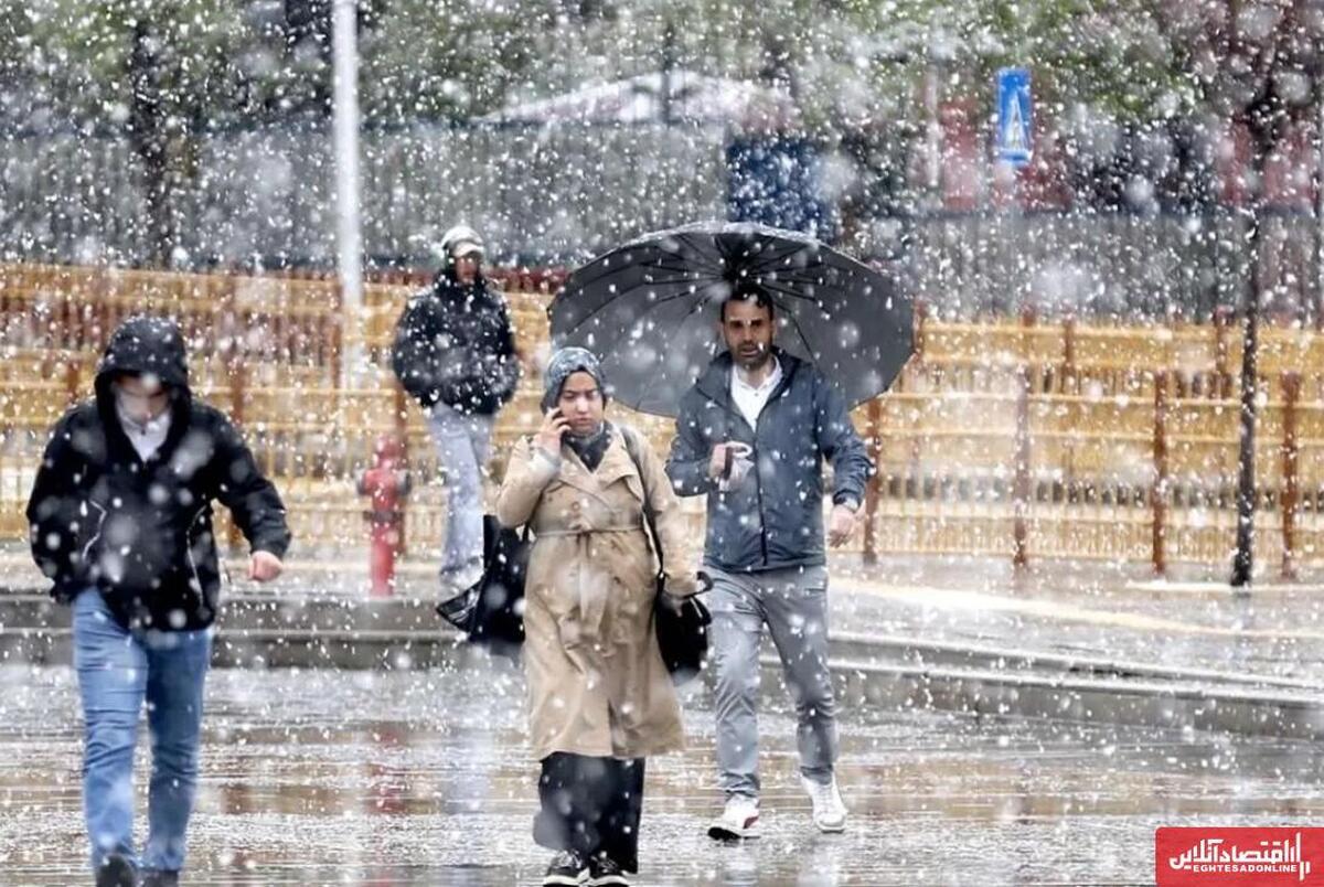 پیش بینی