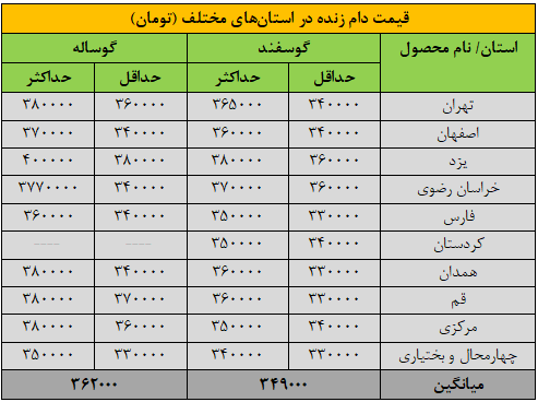 قیمت جدید دام زنده اعلام شد / گوسفند و گوساله گران‌تر شدند
