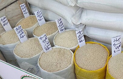 توصیه عجیب صداوسیما: به جای برنج، جو بخورید