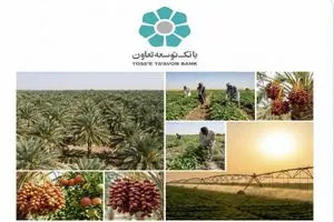 تأمین مالی زنجیره ای؛ فرصتی برای عبور کشاورزی سیستان و بلوچستان از فقر ساختاری به ارزش افزوده پایدار