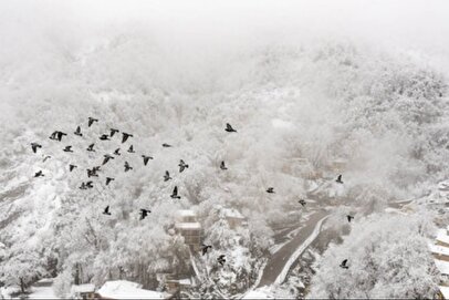 هواشناسی استان فارس ۶ دی ۱۴۰۴ / این شهرستان‌ها منتظر بارش برف و باران باشند