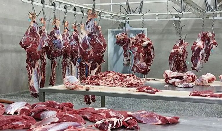 عرضه گوشت با قیمت دولتی در میادین میوه و تره بار