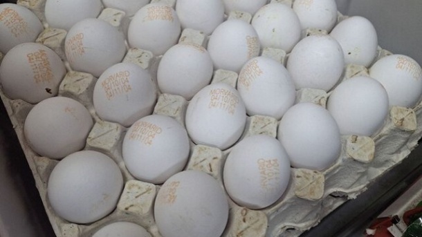 قیمت هر عدد تخم مرغ به 10 هزار تومان رسید