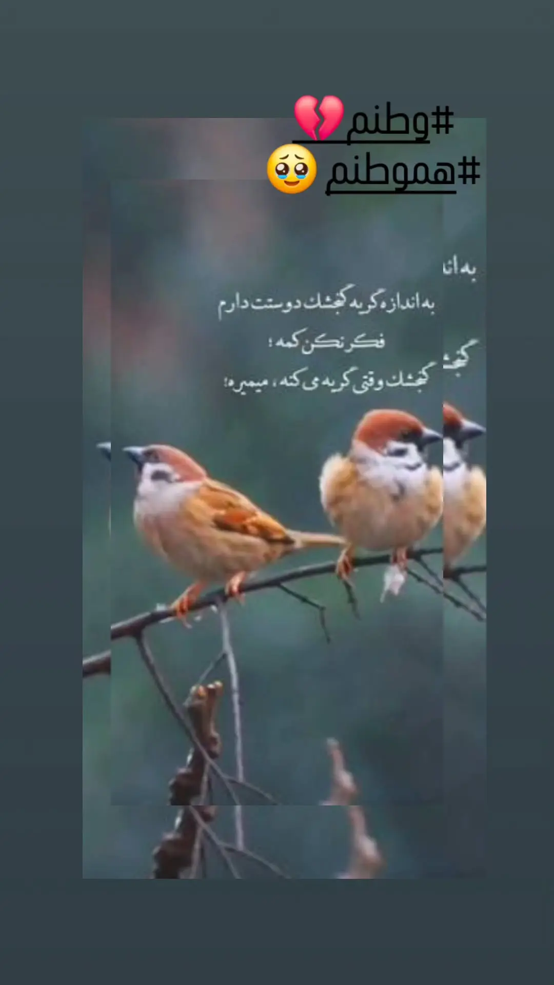 استوری احساسی مرجانه گلچین به مردم در روز‌های سخت