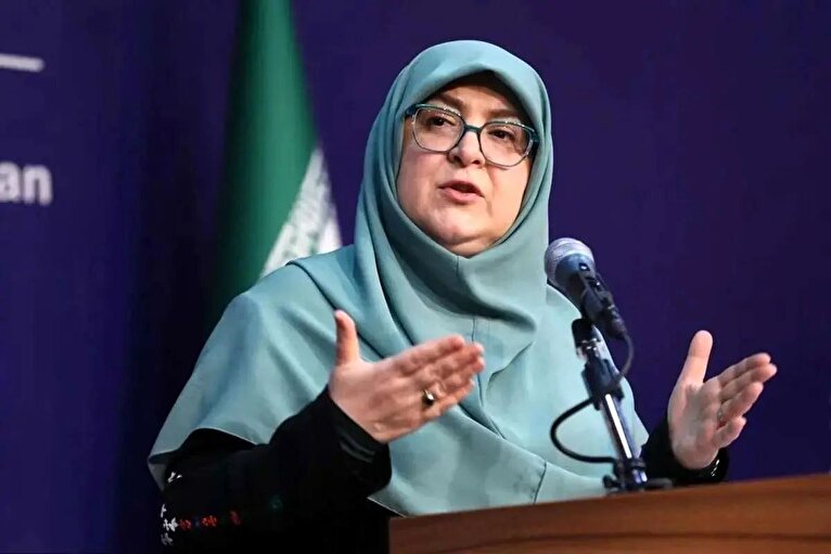 واکنش سخنگوی دولت به مصادره اموال سلبریتی‌ها + فیلم