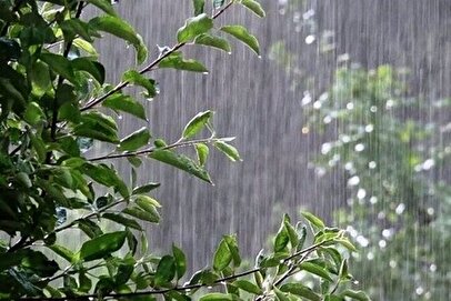 شاخص کیفیت هوای تهران امروز چهارشنبه 15بهمن 1404/ هوای پایتخت پاک است