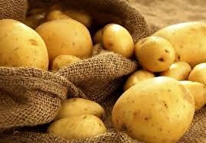 خبر خوش برای کشاورزان/ نرخ خرید تضمینی  سیب‌زمینی و پیاز مشخص شد