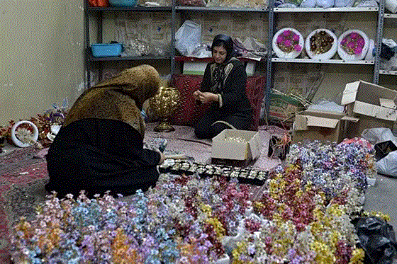 پرداخت ۲۳ هزار فقره وام اشتغالزایی توسط بانک ملی ایران/ ۳۵ هزار میلیارد ریال تسهیلات خوداشتغالی در مسیر رونق بازار کار