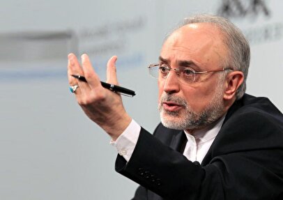 علی‌اکبر صالحی: این تعامل متقابلی که با دنیا داریم قابل ادامه نیست، چون ما را ضعیف‌تر و تنهاتر می‌کند