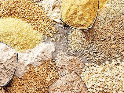 هشدار اتحادیه واردکنندگان نهاده‌های دامی: زنجیره تامین کشور در معرض بحران/ توقف ترخیص نهاده‌ها