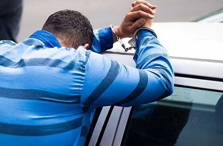 لباس کار عجیب باند سارقان حرفه‌ای تهران + فیلم