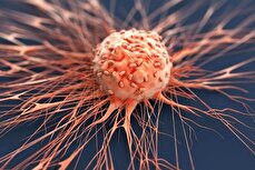 باکتری‌ها به کمک بیماران سرطانی می‌آیند