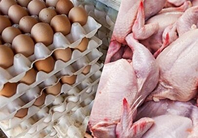 آخرین وضعیت کالاهای اساسی در بازار / قیمت گوشت، مرغ و تخم‌مرغ اعلام شد
