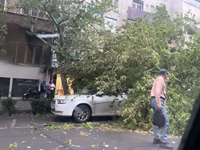 وقوع  طوفان شدید در تهران، چند درخت سقوط کردند+ فیلم