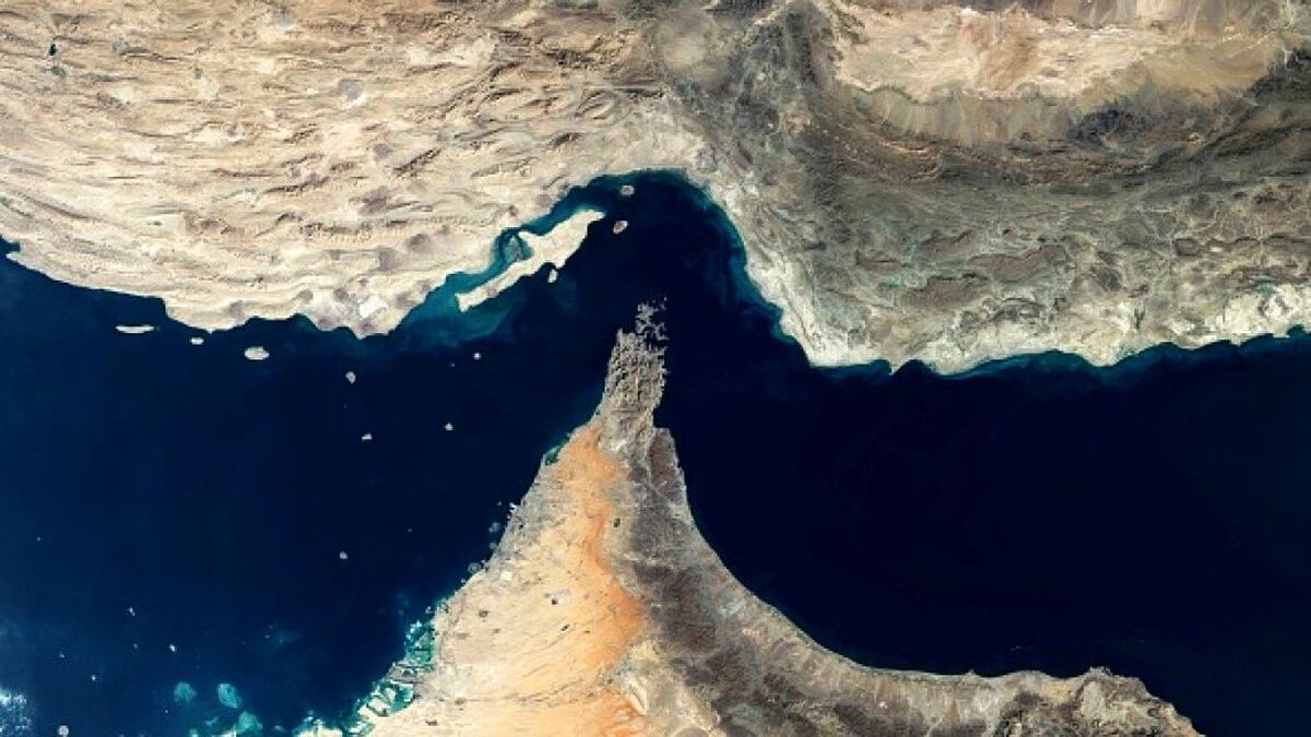 فونیکس