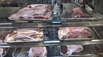 کاهش قیمت دام در بازار/گوشت هم ارزان می‌شود؟