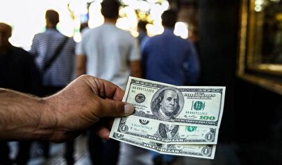 سقوط آزاد قیمت دلار بازار آزاد امروز پنجشنبه ۱۷ اردیبهشت ۱۴۰۵ / اعلام قیمت انواع ارز در بازار  + جدول