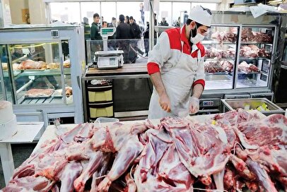 سیگنال مثبت دولت به بازار گوشت/ قیمت گوشت قرمز کاهشی می‌شود؟