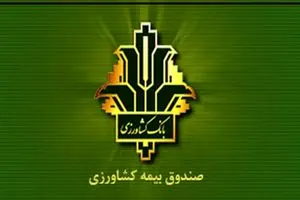 افزایش 140 درصدی غرامت پرداختی به کشاورزان خسارت دیده / جهش ۱۵۰ درصدی تعهدات بیمه گندم/ پوشش 100 درصدی 6.5 میلیون هکتار گندمزار
