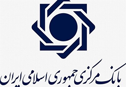 پاسخ بانک مرکزی به حواشی اختلال چهار بانک / تصمیم انتخاب شرکت‌های فناوری با بانک‌ها بود