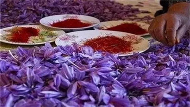 قیمت عجیب زعفران در بازار