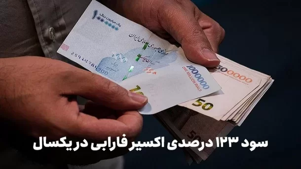 سود ۱۲۳ میلیونی در یکسال با ۱۰۰ میلیون تومان سرمایه!