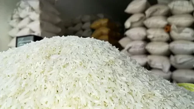 قیمت برنج در استان های شمالی چند؟