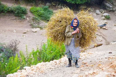 خبر-مهم-دولت-برای-روستاییان-دهک-های-6-تا-10-حق-بیمه-روستاییان-اعلام-شد