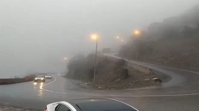 بارندگی و مه‌گرفتگی در جاده‌های شمالی