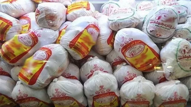 خرید حمایتی مرغ از امروز آغاز شد